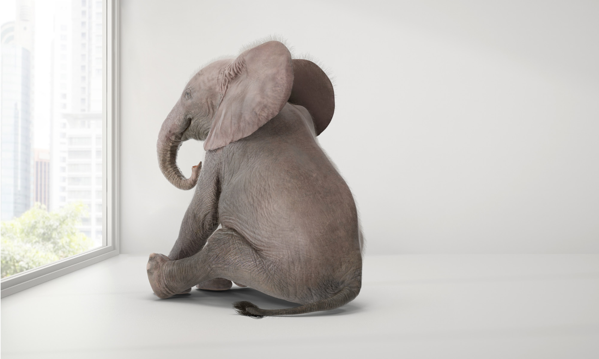 Der Elefant im Raum: Finde die größte Einschränkung