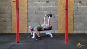 Trainingsplan Kraft Mobility
