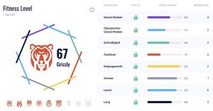 RESET Mobility Level System Beyond the whiteboard new
